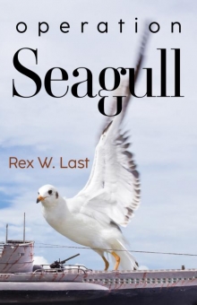 Operation Seagull