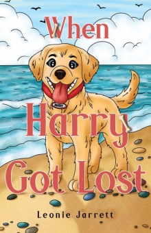 When Harry Got Lost