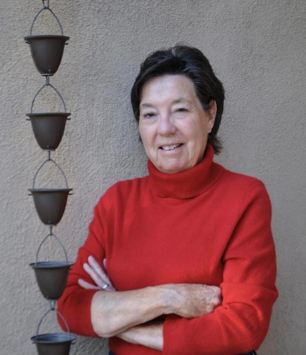 Sue Wells, author