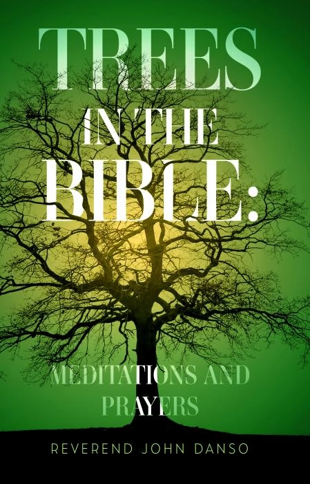 Reverend John Danso, author