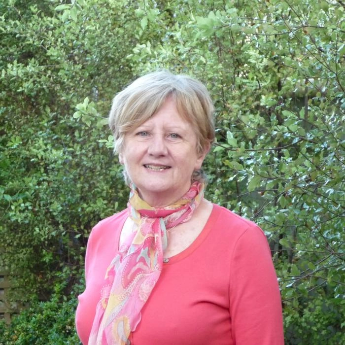 Liz Simon, author