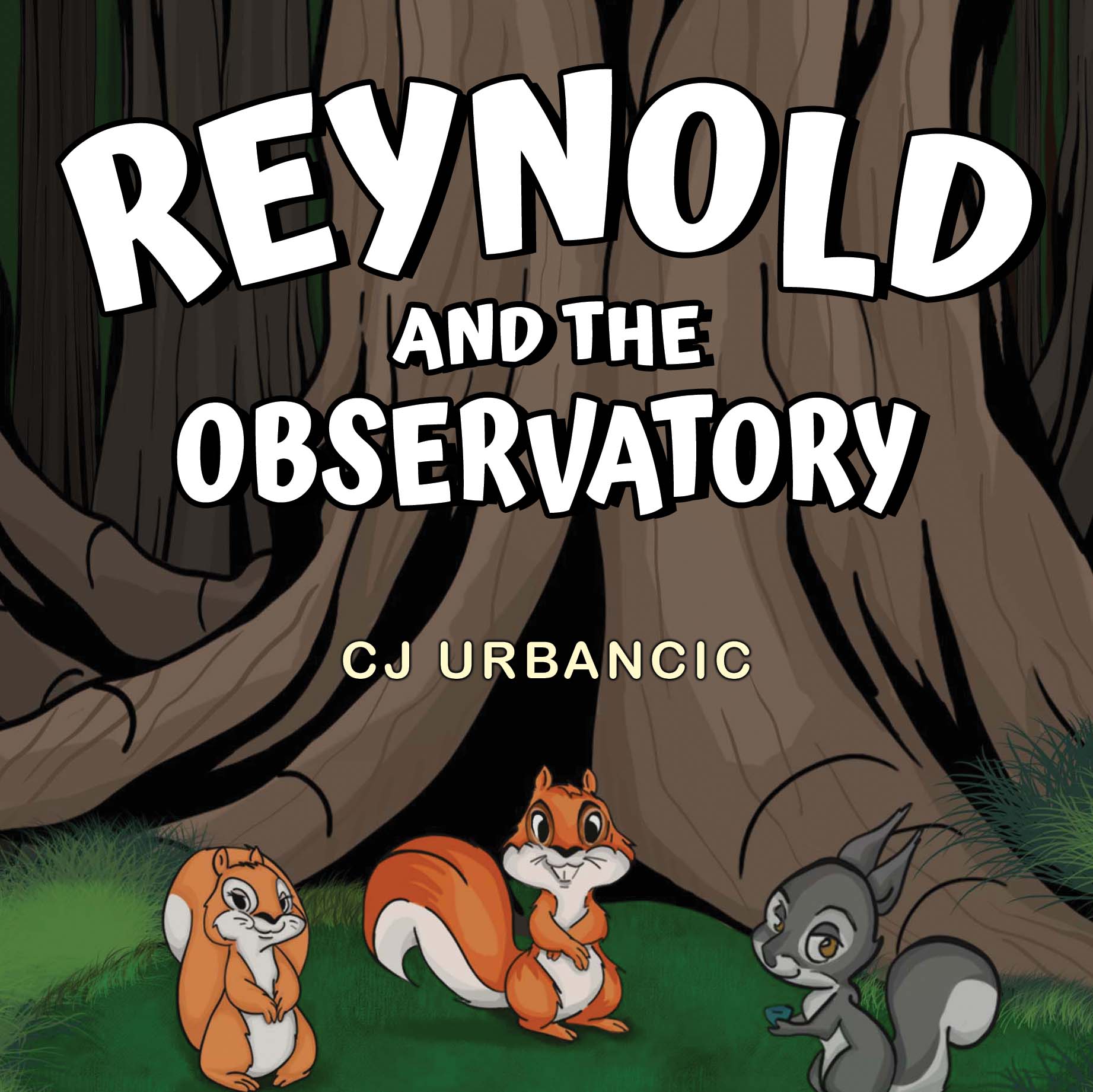 Reynold and the Observatory By CJ Urbancic