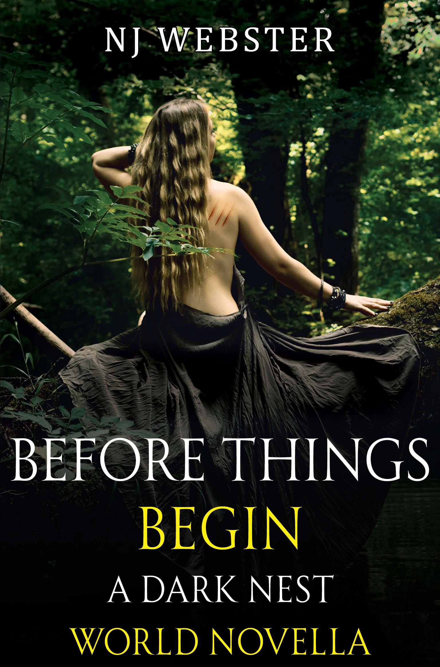 Before Things Begin: A Dark Nest World Novella By NJ Webster