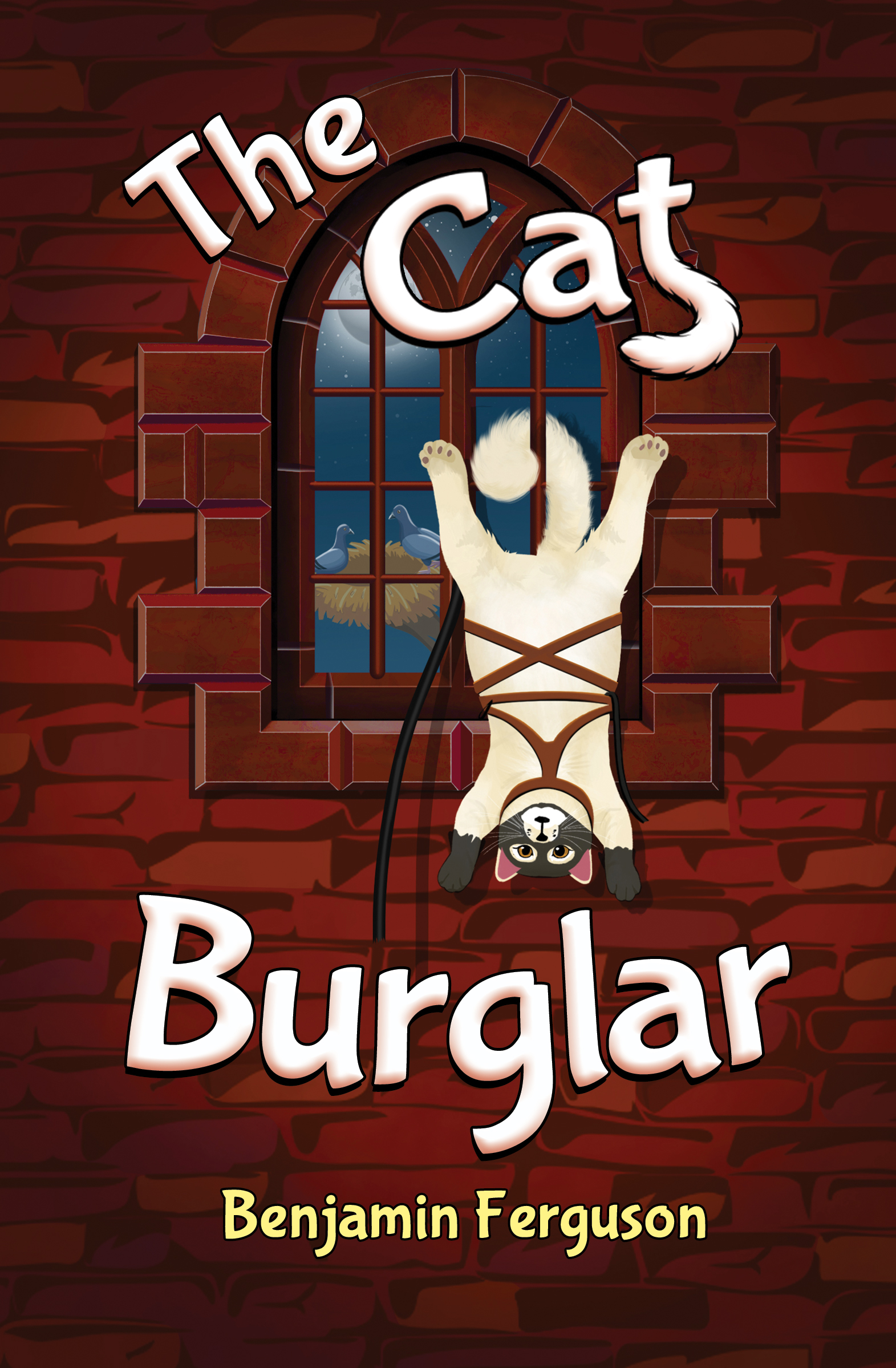 The Cat Burglar By Benjamin Ferguson