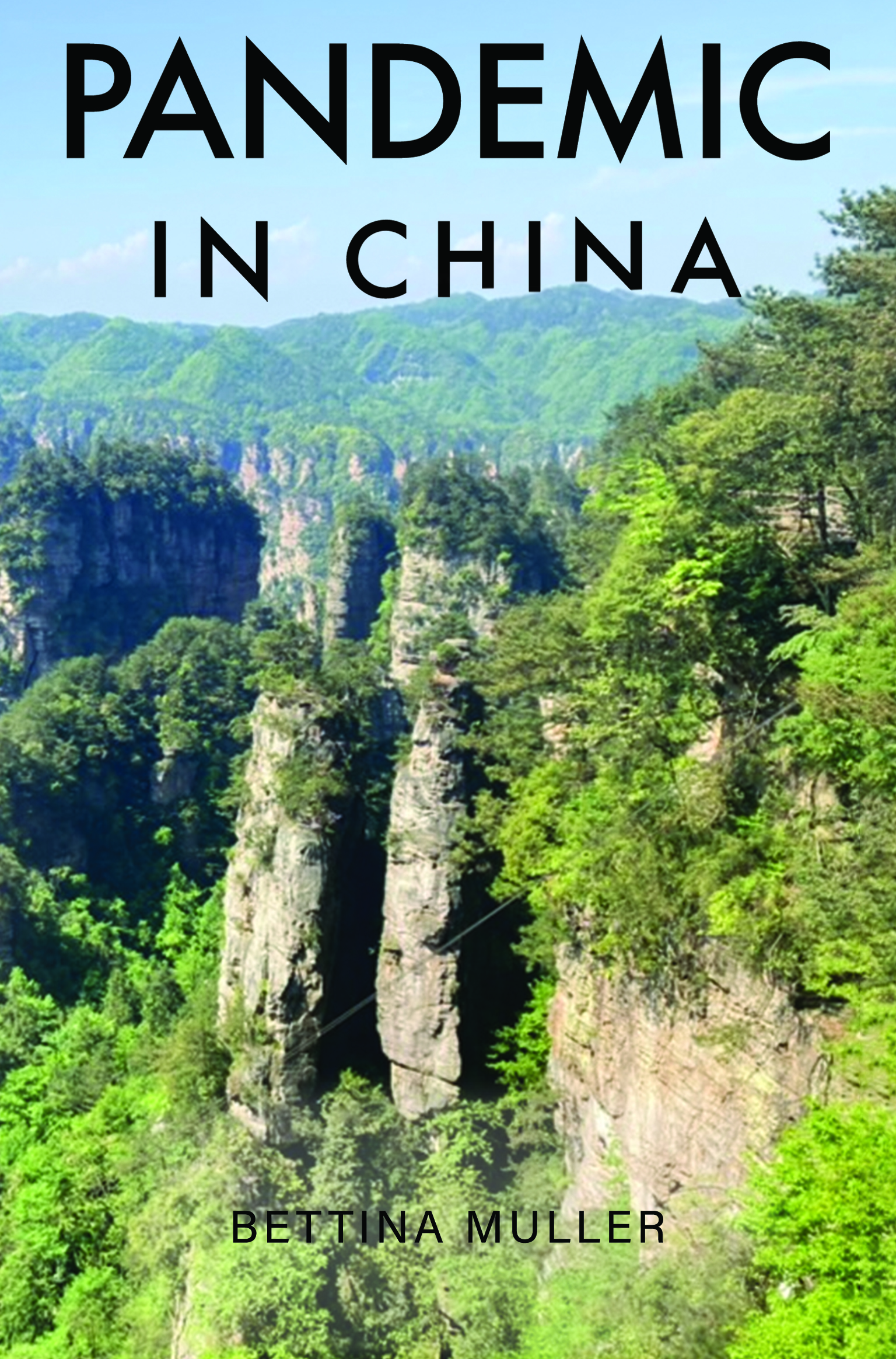 Pandemic in China By Bettina Muller