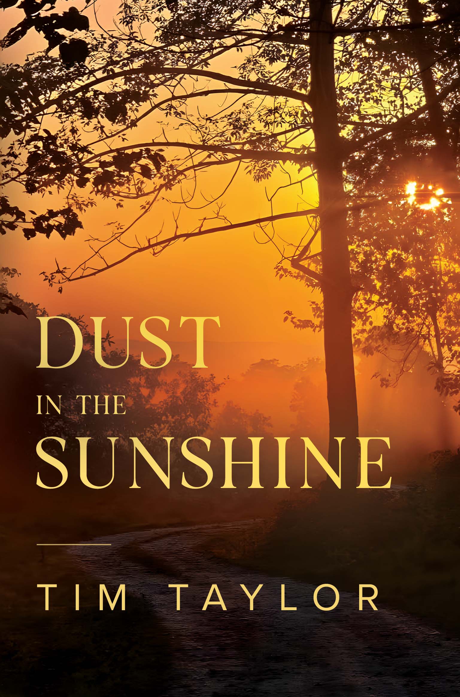Dust in the Sunshine By Tim Taylor