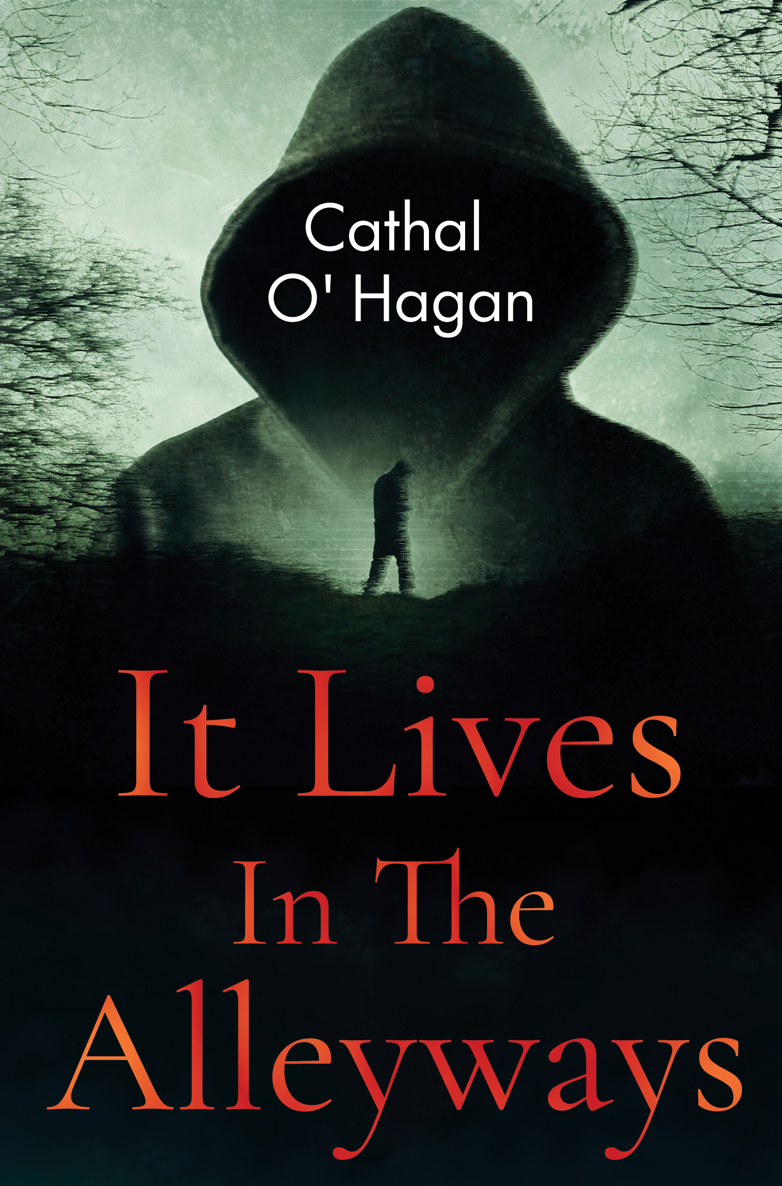 It Lives In The Alleyways By Cathal O' Hagan