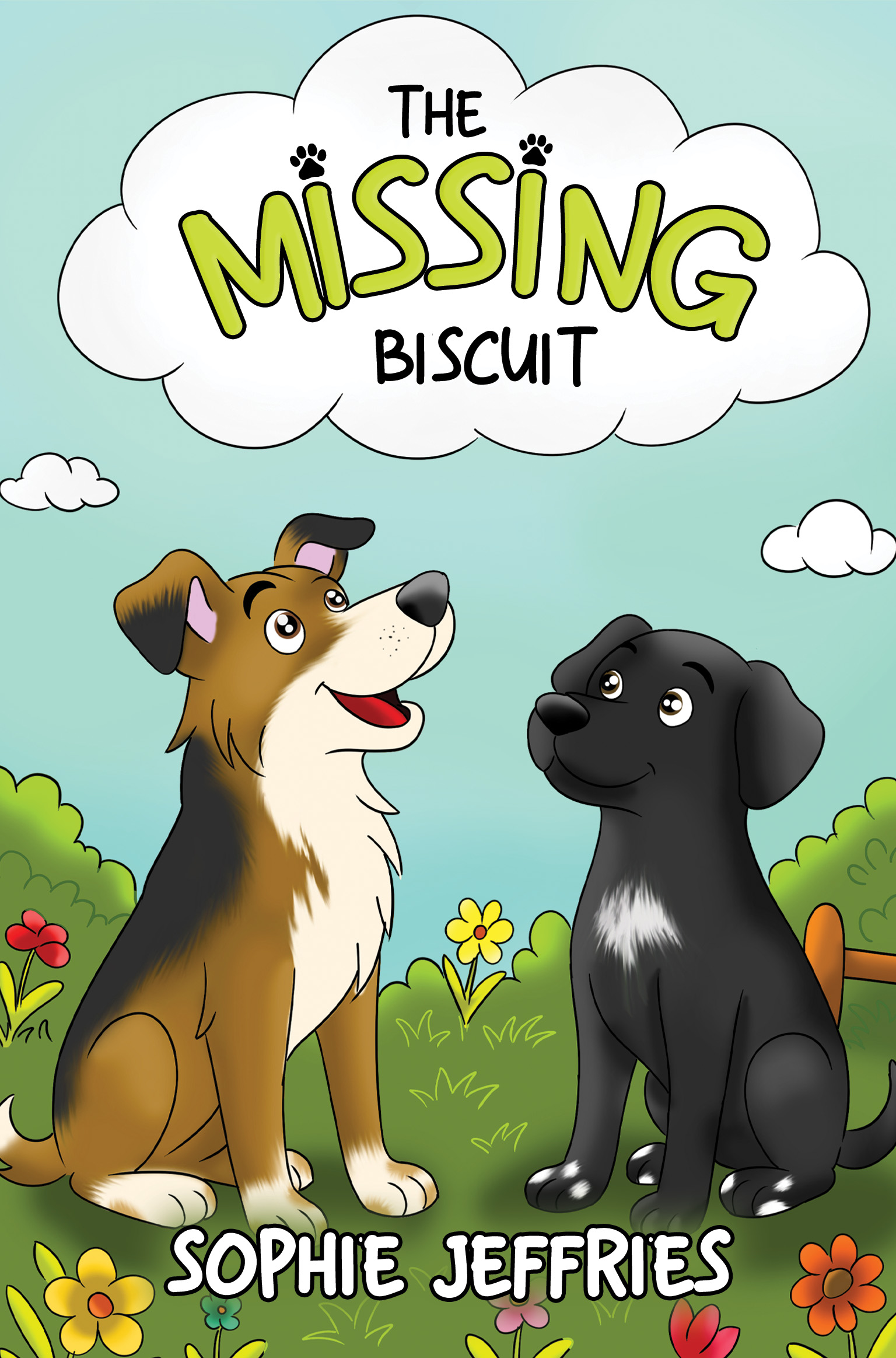 The Missing Biscuit By Sophie Jeffries