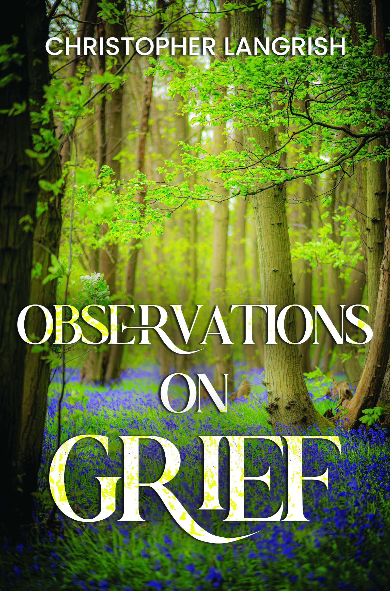 Observations on Grief By Christopher Langrish