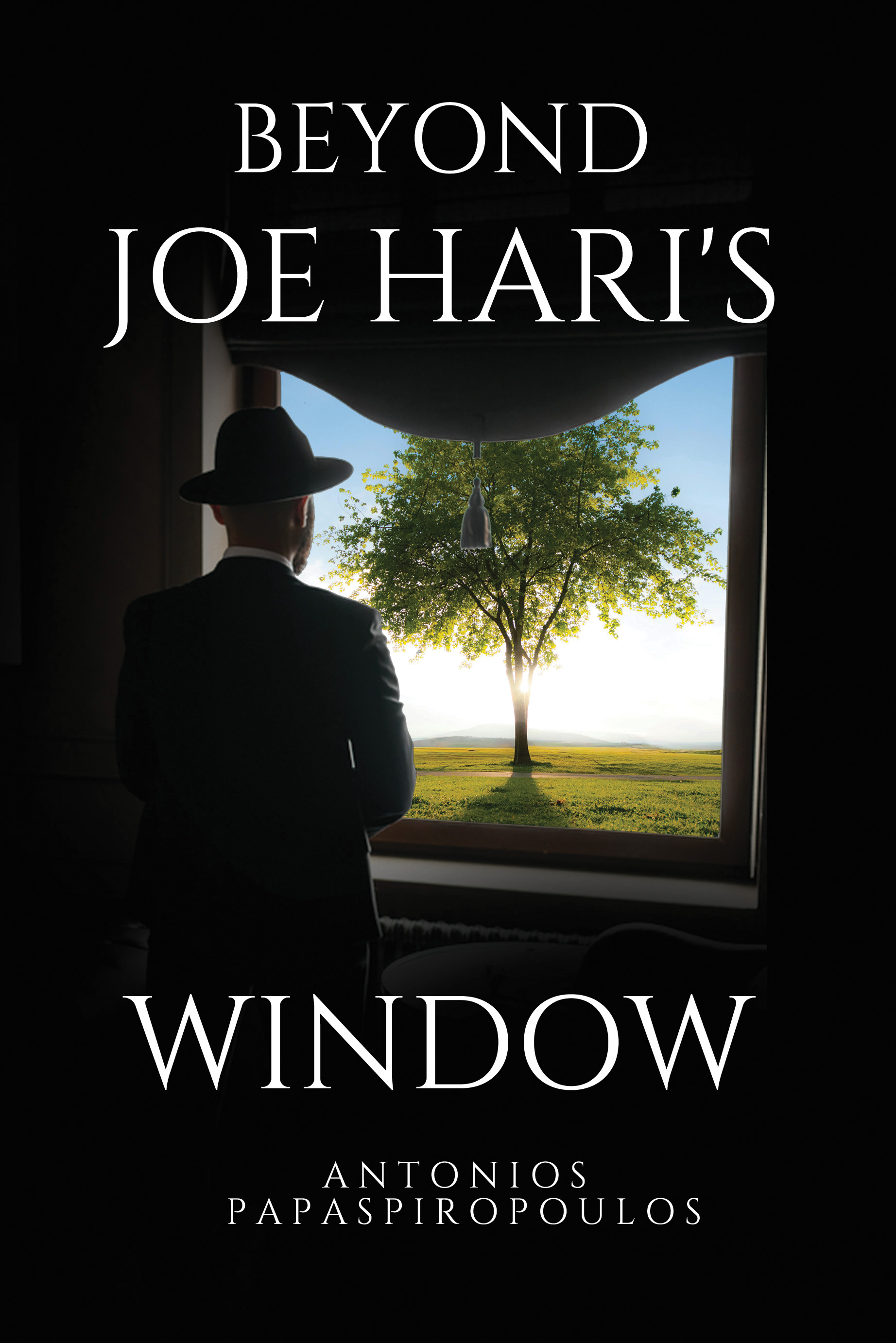 Beyond Joe Hari's Window By Antonios Papaspiropoulos