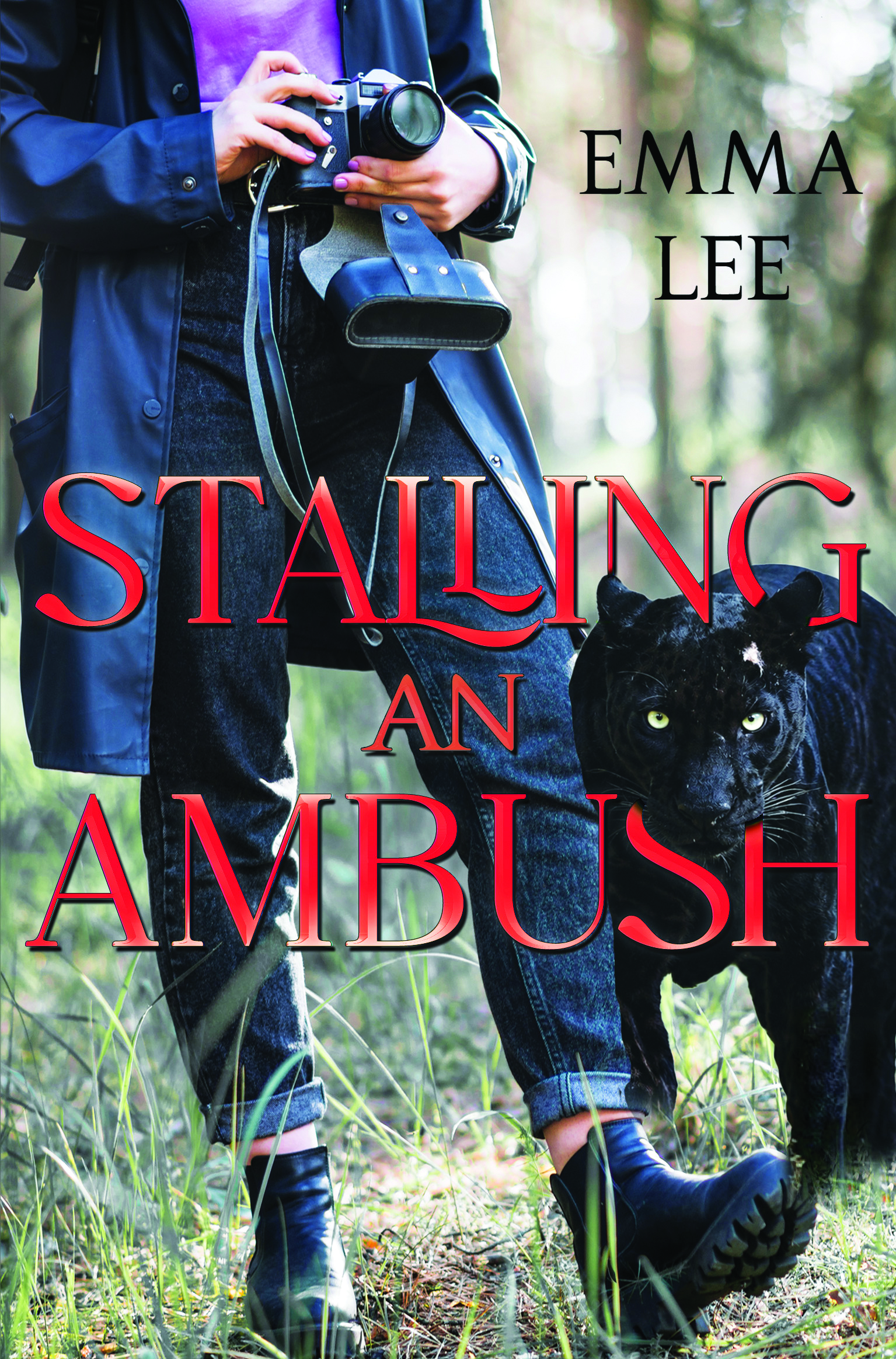 Stalling an Ambush By Emma Lee