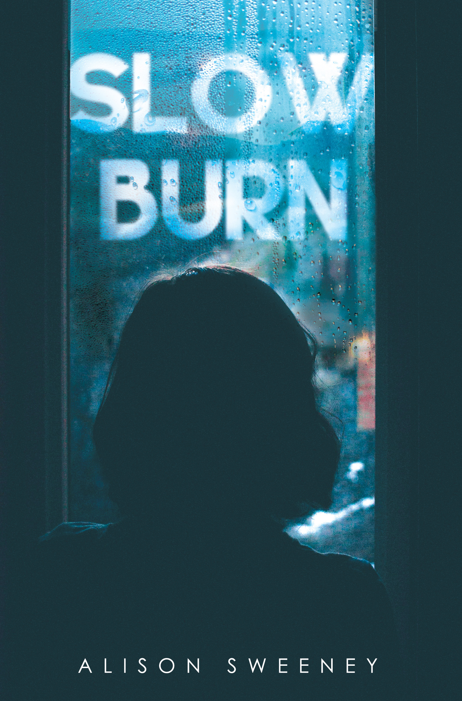 Slow Burn By Alison Sweeney