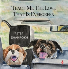 Teach Me the Love that Is Evergreen By Peter Shahrokh