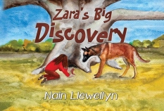 Zara's Big Discovery By Nain Llewellyn