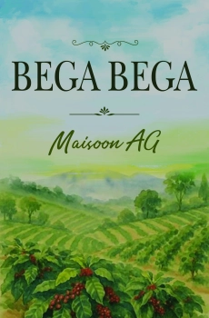 BEGA BEGA  By Maisoon AG