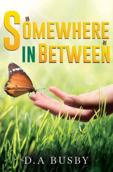 Somewhere in Between  By D. A. Busby